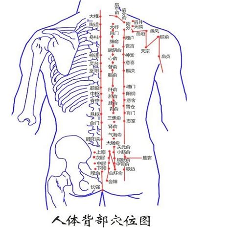 后背有痣|背部有痣图解大全 背部有痣的人看命运